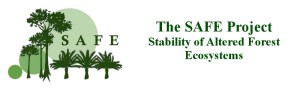 SAFE project logo